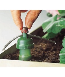irrigation Carotte Blumat