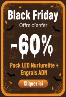 Coupe de balais Black Friday